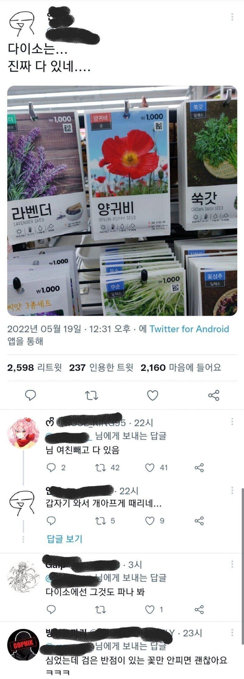 다이소는 진짜 없는게 없네!