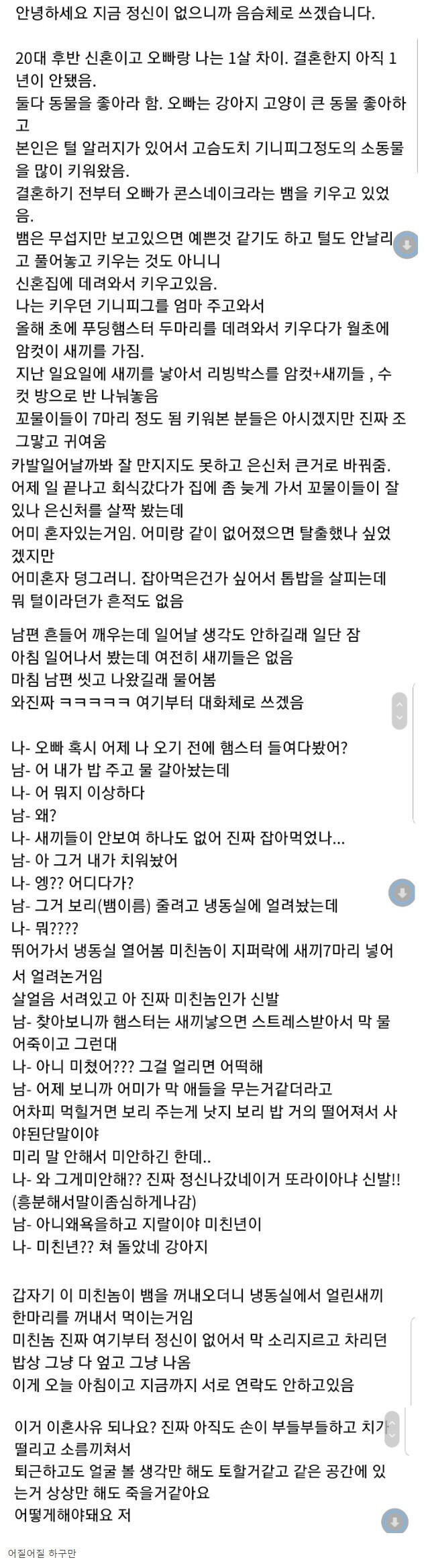 햄스터 때문에 이혼하게 생긴 부부