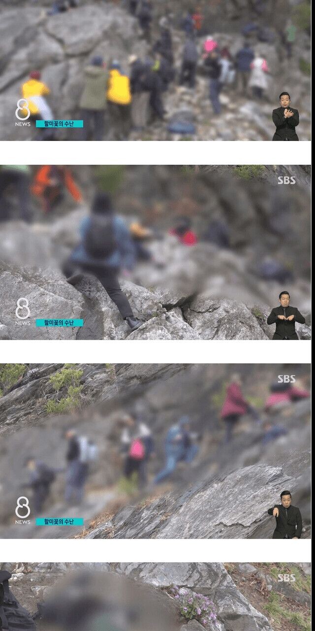 이쯤 되면 정신병 아닌가?