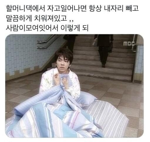 할머니 집에서 자고 일어나면 특징