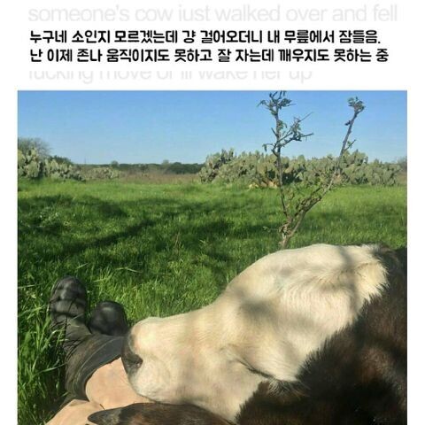 가혹한 무릎형에 처해진 사람들