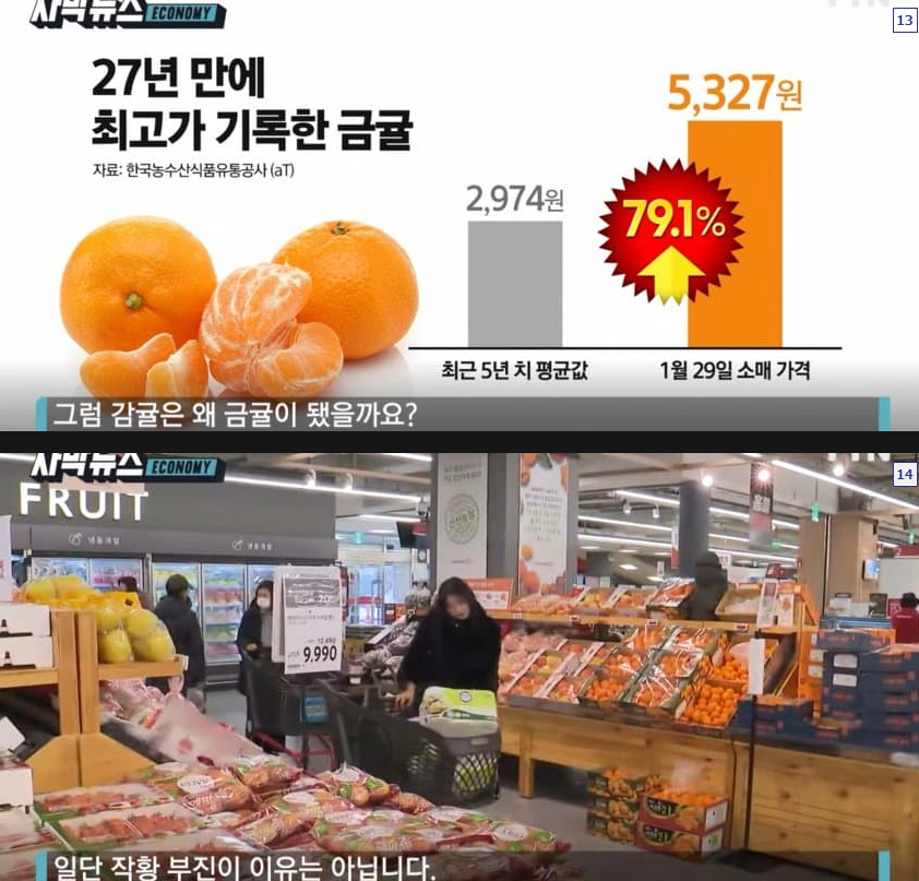 마트 갔다가 두눈을 의심케한 귤 가격