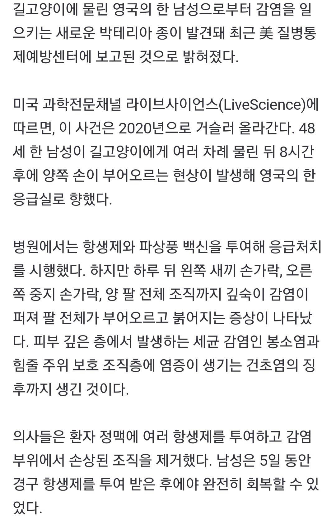 길고양이한테 물린 사람한테 새로운 종류 박테리아 발견 ㄷㄷ