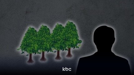 '나무 심으면 젊은 공무원 안 떠나요?' 춘천시 나무심기 행사 비판 잇따라