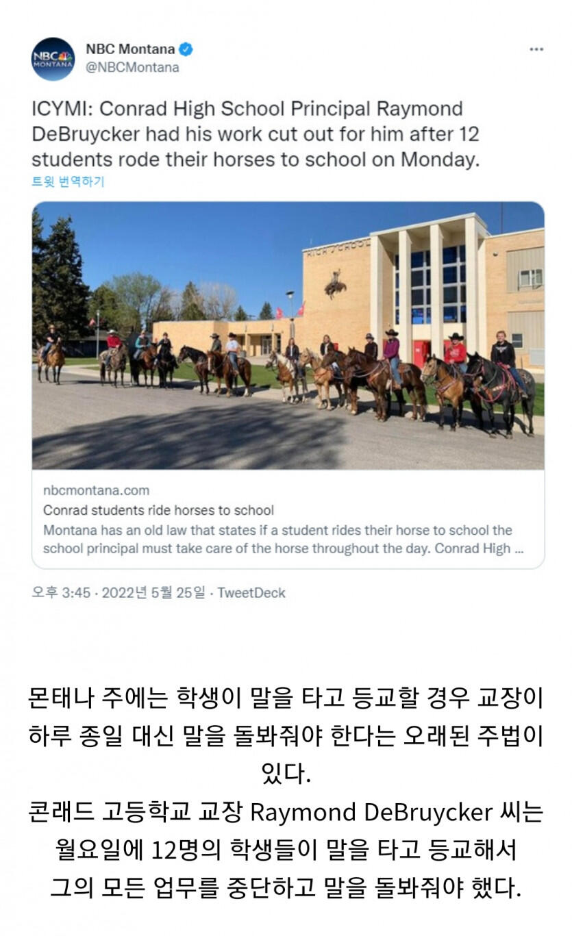 미국 어느 고등학교 학생 12명이 말을 타고 등교한 이유