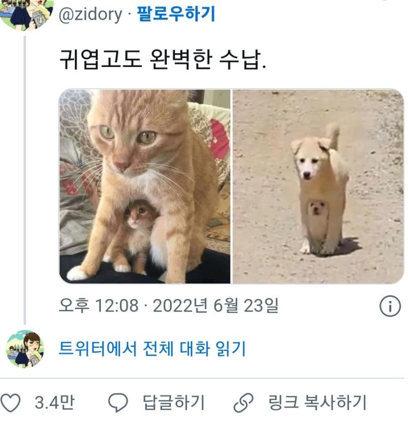 귀여우면서 완벽한 수납