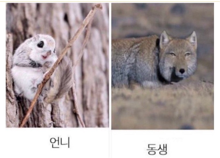 주위에 이런 자매들 진짜 많음