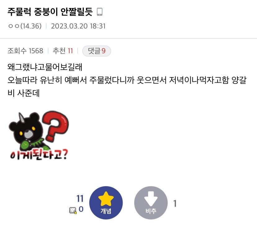 중소기업 갤러리 NTR남