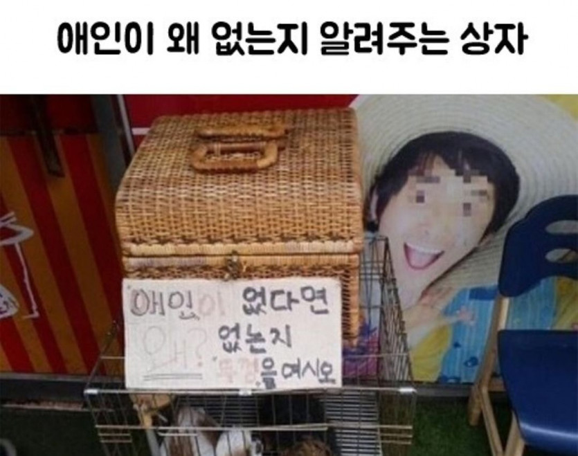 애인이 왜 없는지 알려주는 상자