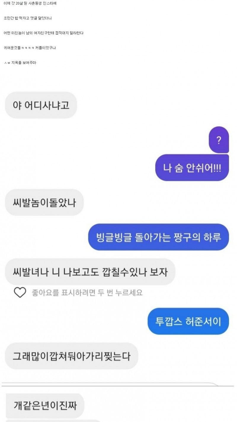 사촌동생 인스타에 댓글 달았다가 욕먹음