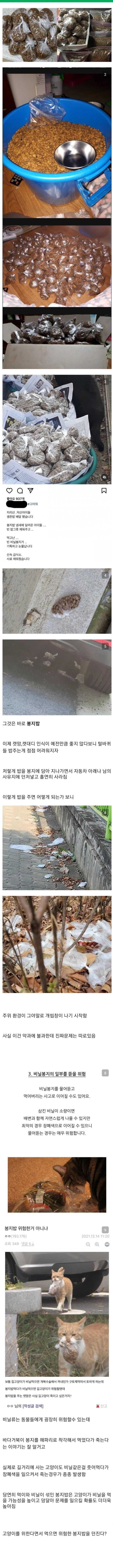 캣맘 수류탄 전술 활용 근황
