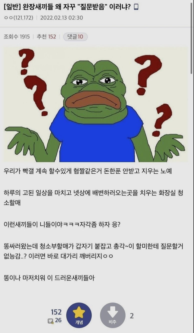 디씨 마이너 갤러리 완장의 무게.jpg