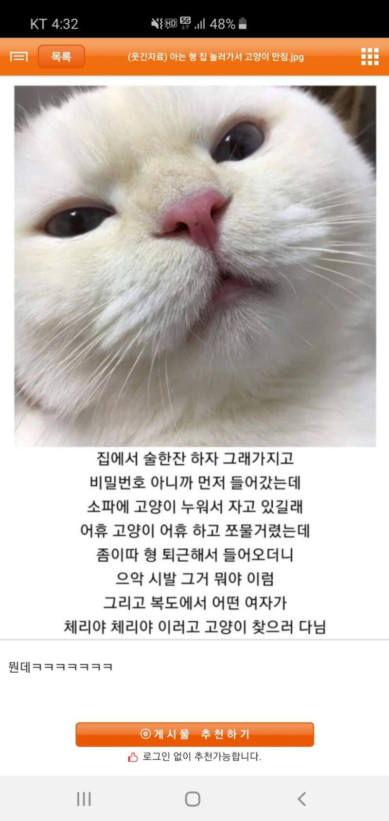 아는 형 집에 고양이가 있어서 만져봤습니다.