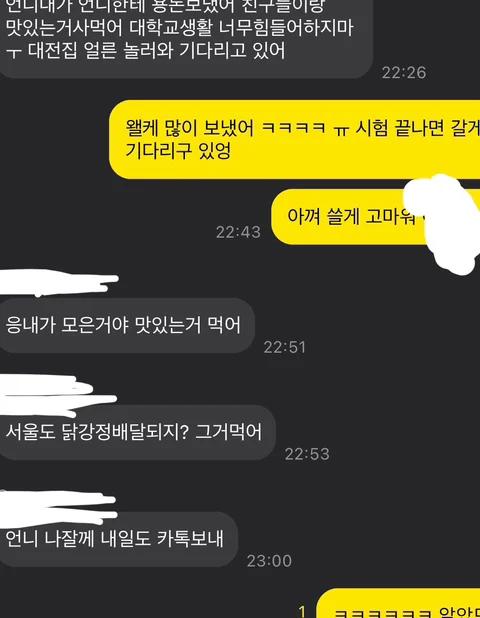 힘들어하는 언니한테 43000원 보낸 동생 카톡 뒷내용