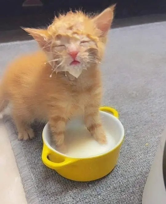 우유 급하게 먹어서 불렀더니