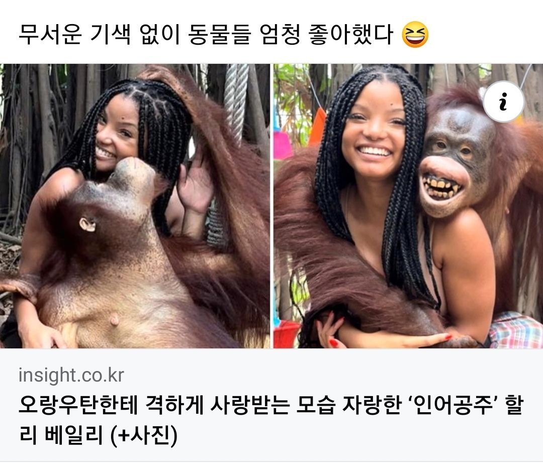 자신과 비슷한 사람을 만나 기뻐하는 오랑우탄