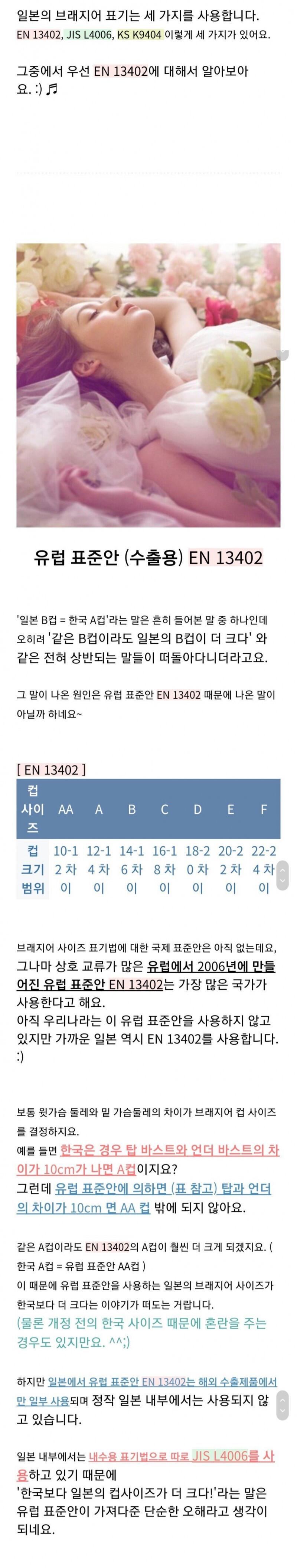 스압) 일본 C컵은 진짜 한국 C컵보다 작을까?