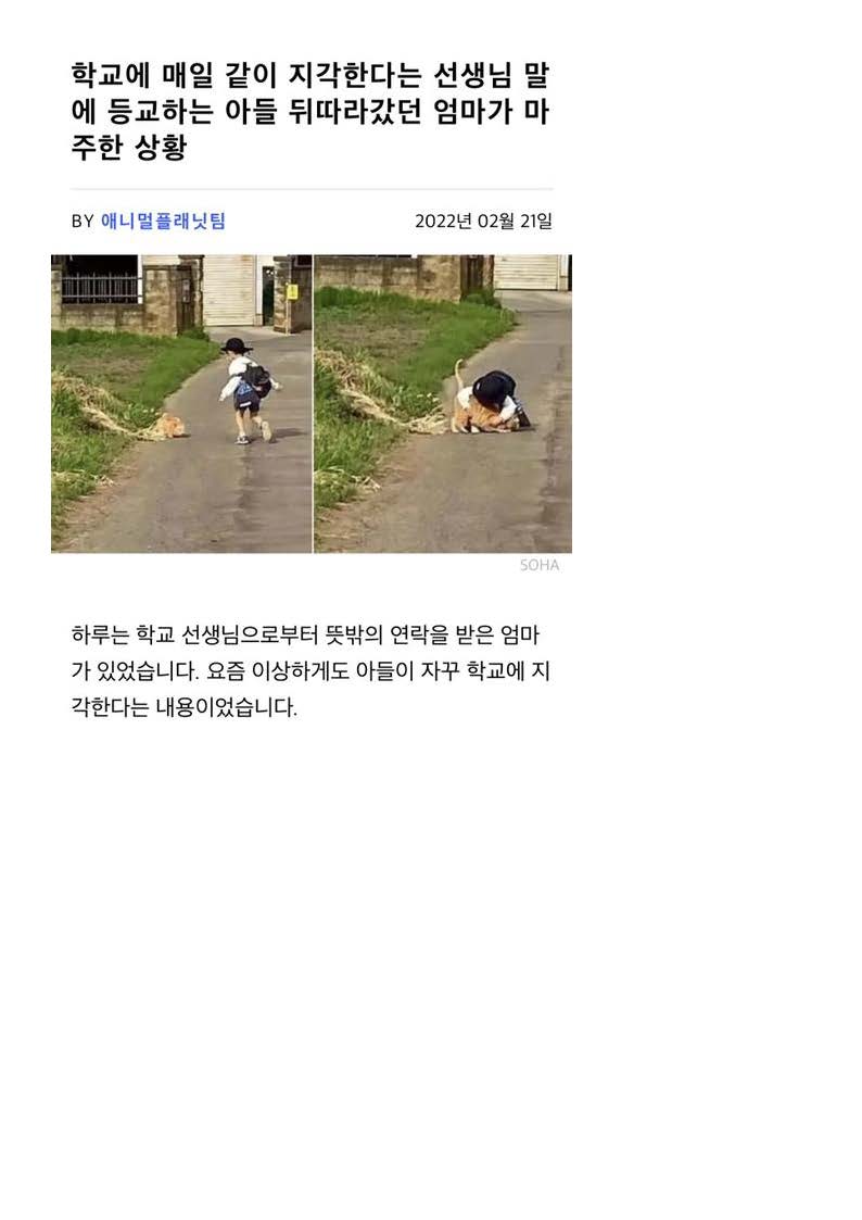 학교에 매일 같이 지각한다는 선생님 말에 등교하는 아들 뒤따라갔던 엄마