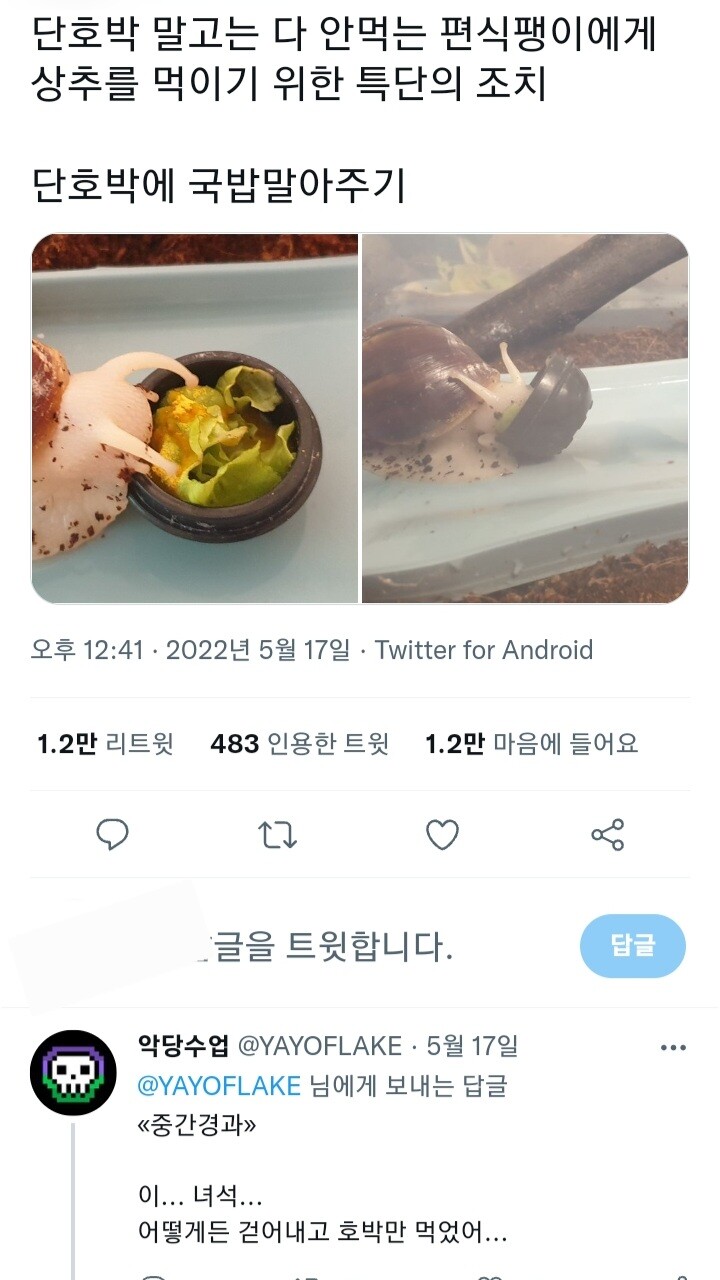 편식하는 달팽이의 특단의 조치