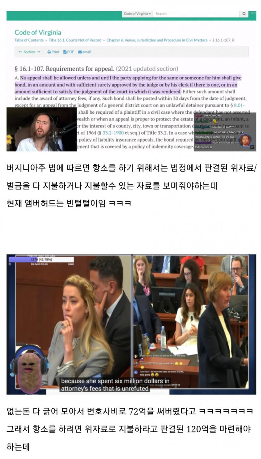 항소 못할수도 있다는 앰버 허드