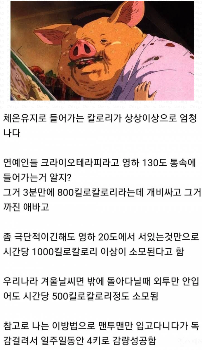 뚱뚱이들이 겨울에 할수있는 다이어트.JPG
