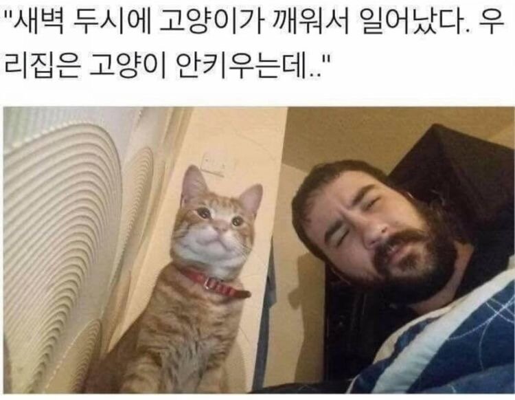 수면중 집사간택