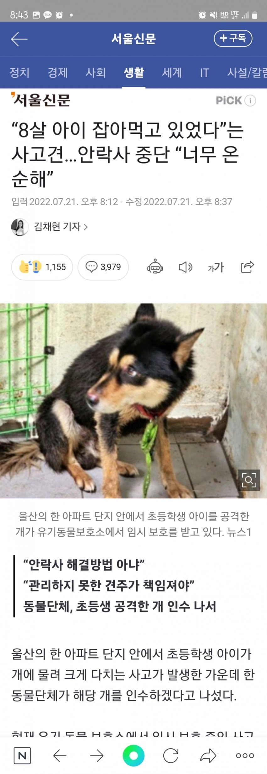 동물단체) 8살 아이 문 사고견... 안락사 결사반대 + 여초반응