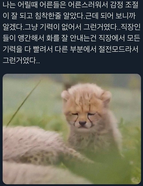 어른이 되면 점잖고 침착해지는 이유