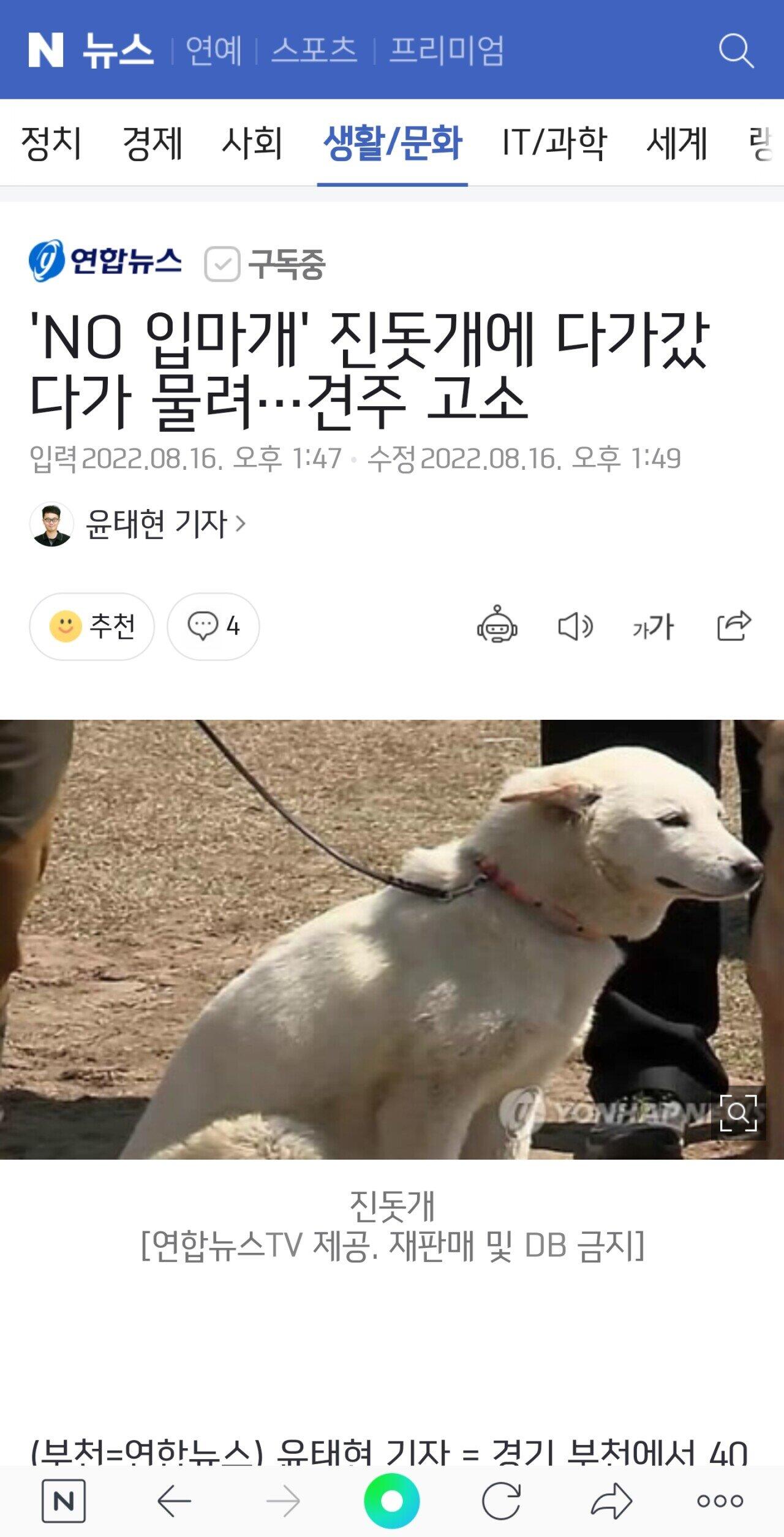 'NO 입마개' 진돗개에 다가갔다가 물려…견주 고소