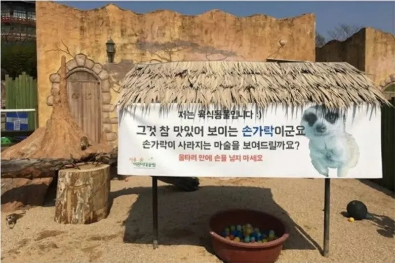 섬뜩해서 바뀐 미어캣 경고문