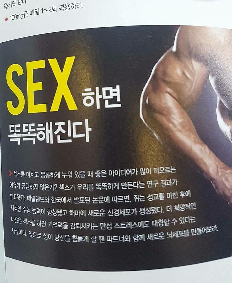 헬창 가이드북에 나온 내용