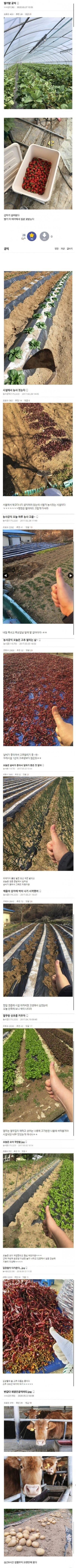 전설의 농사 공익