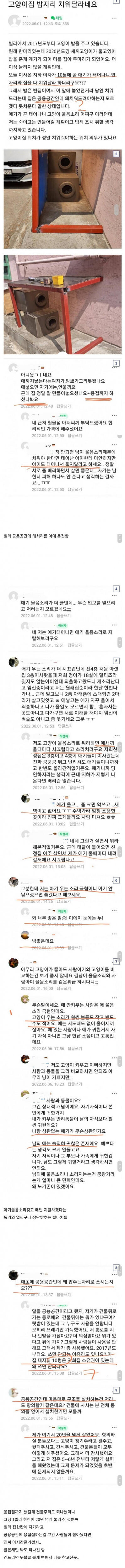 빌라 공용공간 무단 사용하는 정신병자 캣맘