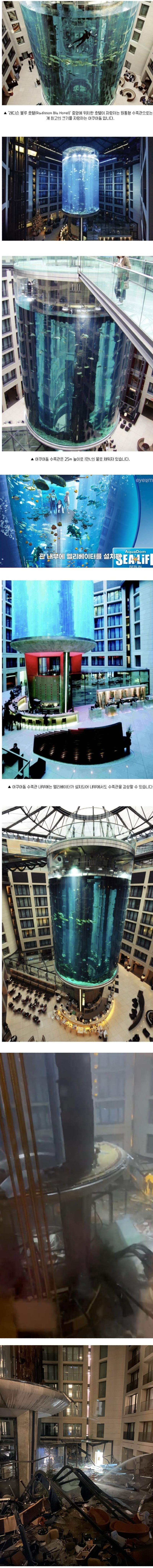 세계 최대급 원통형 수족관 근황