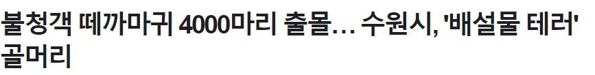 혐) 국내 까마귀 근황 jpg
