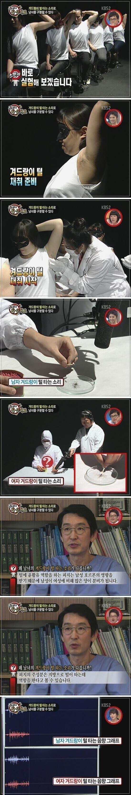 전설의 자지직 보지직 예능.jpg
