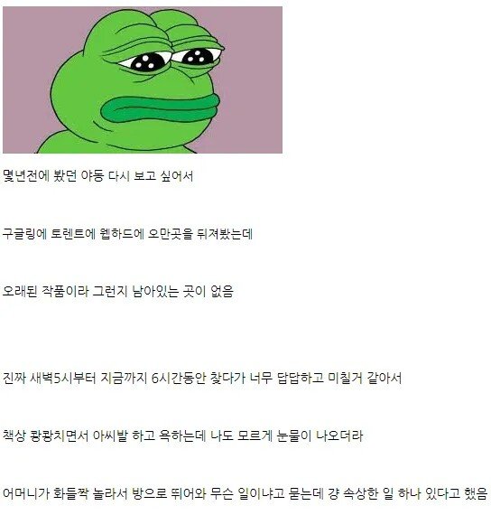 남자라면 한번쯤 겪는 야동 실종 사건