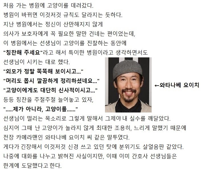 처음 가는 동물병원에 고양이를 데려갔다