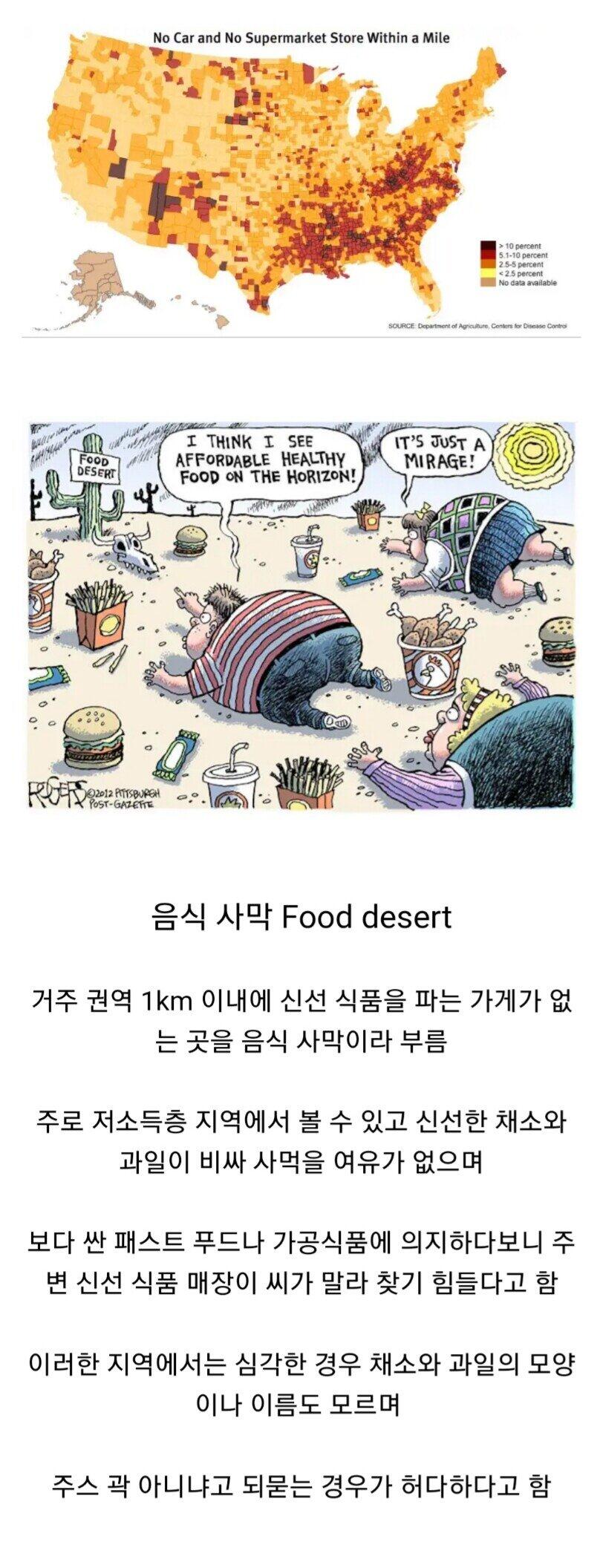 미국의 음식 사막화 현상