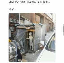 차빼