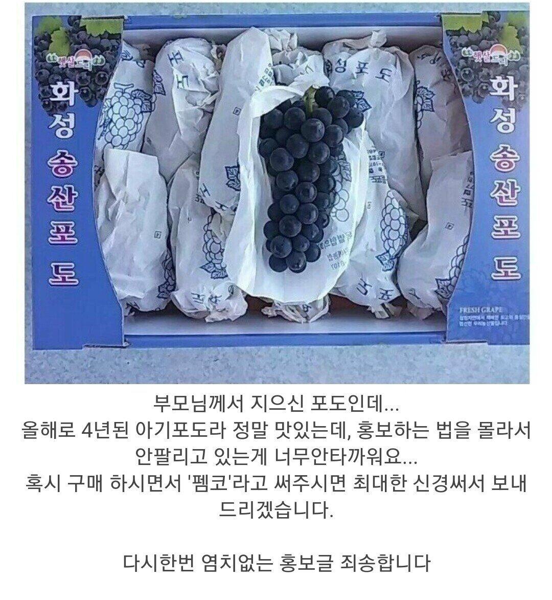 포도를.. 팔고 싶습니다