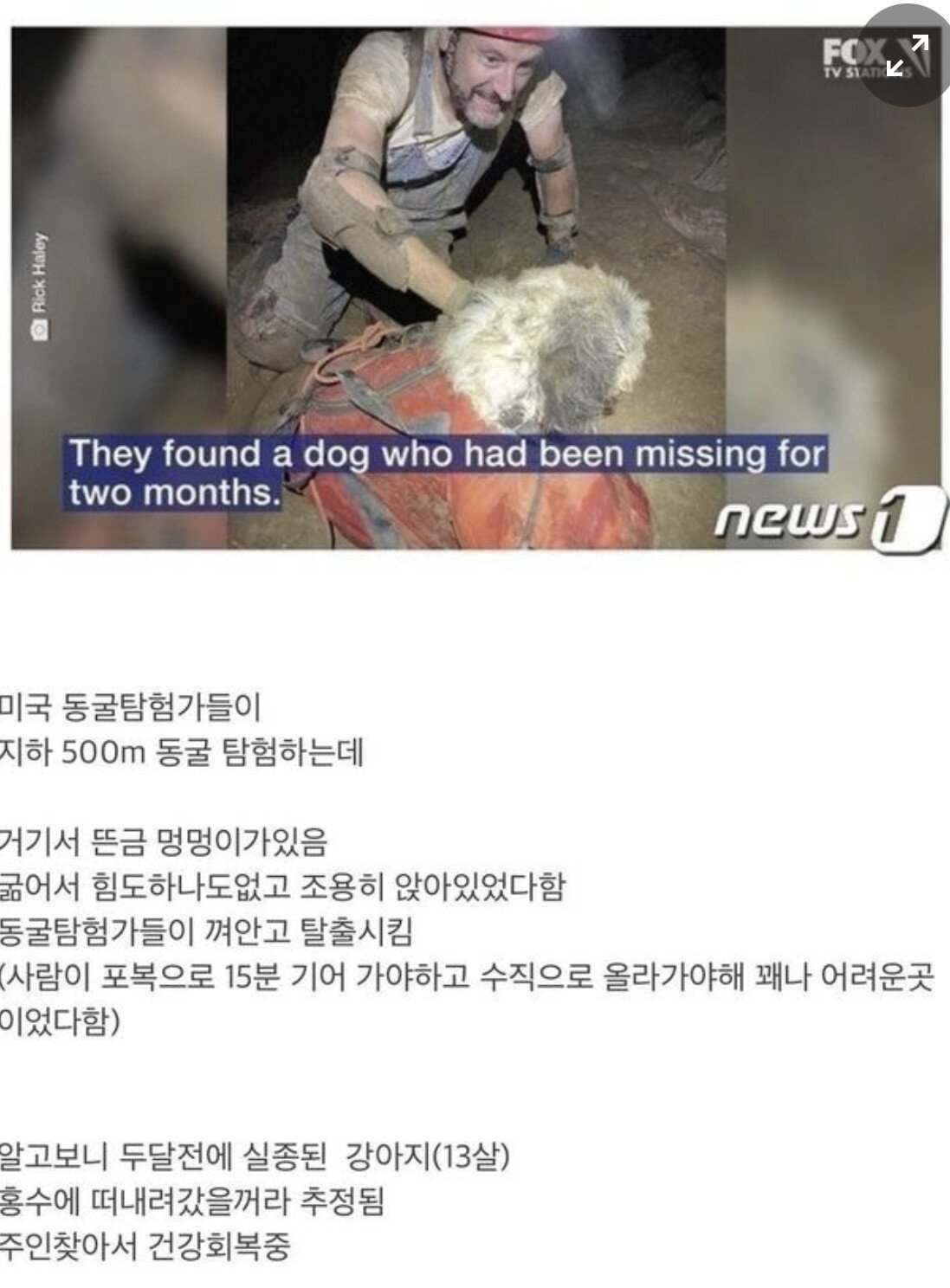 500m 지하동굴에서 살아남은 댕댕이