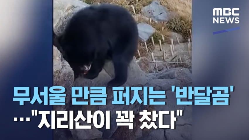 만화같아지는 대한민국의 국립공원