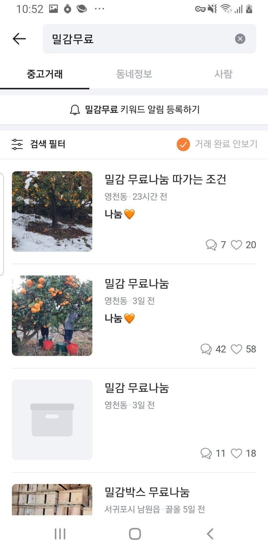제주도 당근마켓의 특징