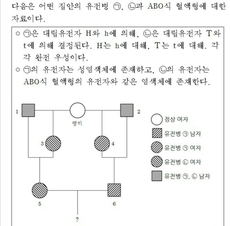 수능문제 히토미