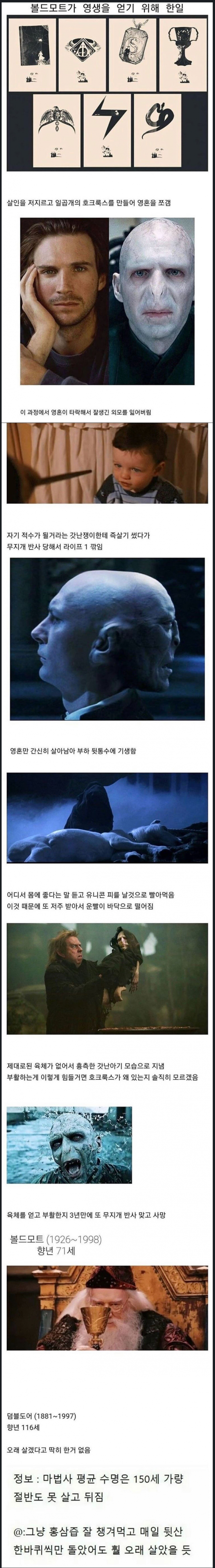 해리포터 볼드모트의 삽질.jpg