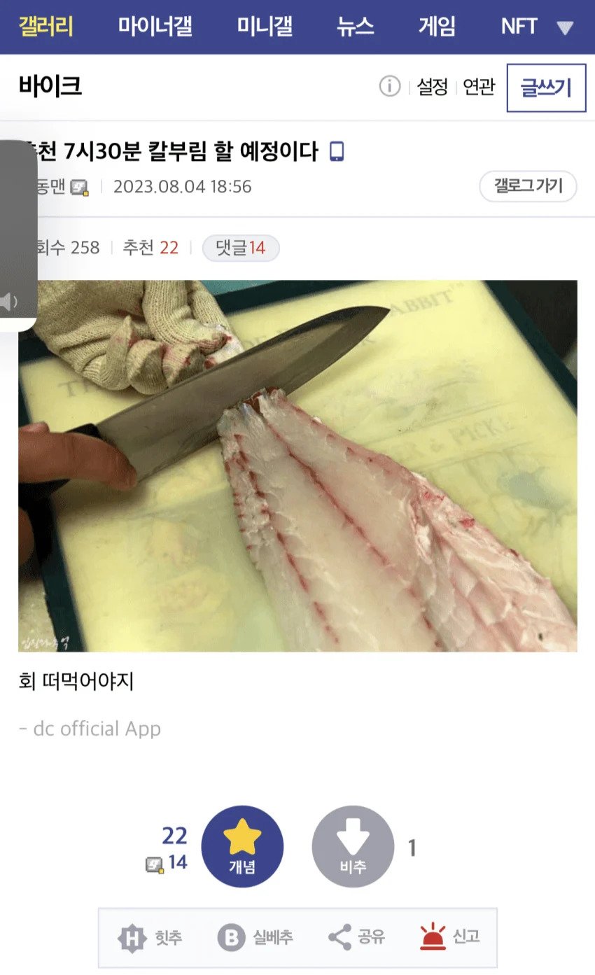 춘천 7시30분 칼부림예고 긴급체포