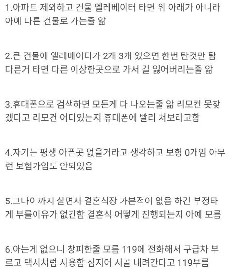 디시인의 어머니 인증 레전드