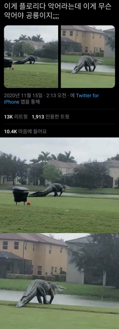 합성인줄 알았는데 실제인 동물
