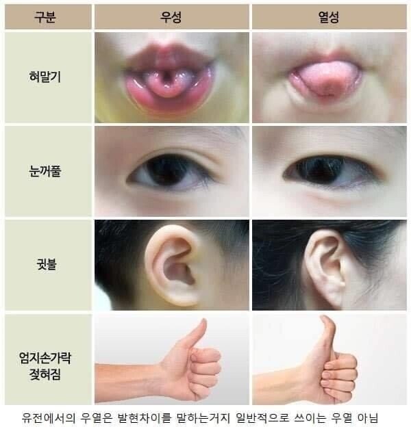 10초만에 알아보는 우성열성 테스트